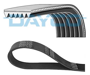 11288570646D 6PK2145 V-Ribbed Belt