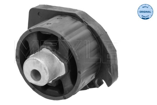 24341422419M1 300 243 4104 Hydraulic Filter, automatic transmission
