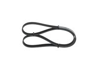 11288573418BO 11288573418 11 28 8 573 418 8573418 1 987 947 926 MINI R61 -  V-Ribbed Belt