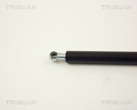 51248190688TS 51248190688 51 24 8 190 688 8190688 8710 11217  Gas Spring, rear window