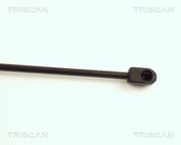 41626801258TS 41626801258 41 62 6 801 258 6801258 8710 17205 MINI R50 -  Gas Spring, boot/cargo area