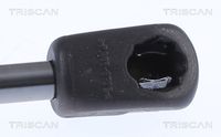 51247148902TS 51247148902 51 24 7 148 902 7148902 8710 18244 MINI R56 -  Gas Spring, boot/cargo area