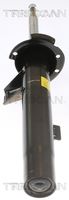 31316768916TS 31316768916 31 31 6 768 916 6768916 8705 11102  Shock Absorber