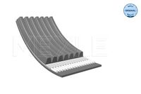 11287631824M 11287631824 11 28 7 631 824 7631824 050 007 1642 BMW F13 LCI -  V-ribbed Belt