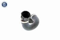 17127531581V 17127531581 17 12 7 531 581 7531581 V20-1294 BMW E90 LCI -  Radiator Hose