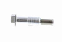 11318490219V1 11318490219 11 31 8 490 219 8490219 V20-3164 MINI R58 -  Tensioner, timing chain