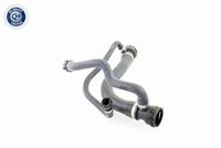 31306869290V 31306869290 31 30 6 869 290 6869290 V20-2960 BMW F23 -  Mounting, stabiliser bar