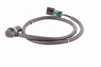 61319241916VM 61319241916 61 31 9 241 916 9241916 V20-73-0241  Switch, window regulator